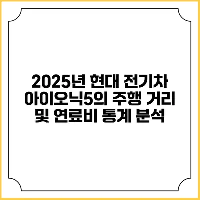 2025년 현대 전기차 아이오닉5의 주행 거리 및 연료비 통계 분석