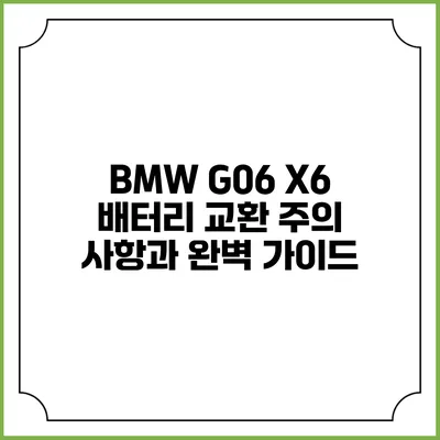 BMW G06 X6 배터리 교환 주의 사항과 완벽 가이드