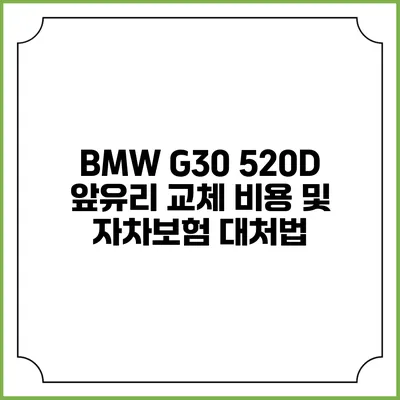 BMW G30 520D 앞유리 교체 비용 및 자차보험 대처법