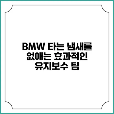 BMW 타는 냄새를 없애는 효과적인 유지보수 팁