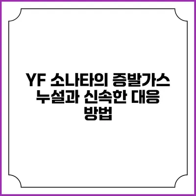 YF 소나타의 증발가스 누설과 신속한 대응 방법