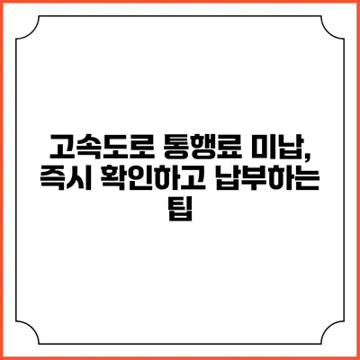 고속도로 통행료 미납, 즉시 확인하고 납부하는 팁
