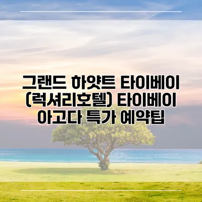 그랜드 하얏트 타이베이 (럭셔리호텔) 타이베이 아고다 특가 예약팁