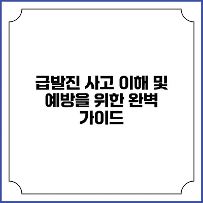 급발진 사고 이해 및 예방을 위한 완벽 가이드