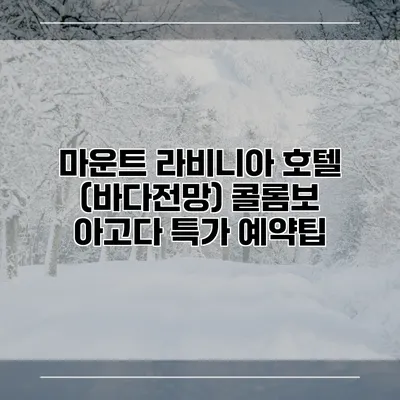 마운트 라비니아 호텔 (바다전망) 콜롬보 아고다 특가 예약팁