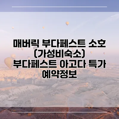 매버릭 부다페스트 소호 (가성비숙소) 부다페스트 아고다 특가 예약정보