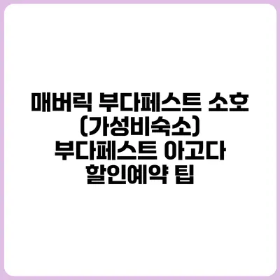 매버릭 부다페스트 소호 (가성비숙소) 부다페스트 아고다 할인예약 팁