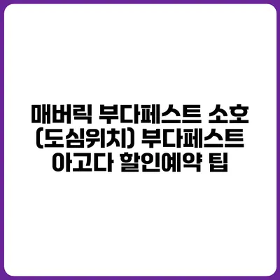 매버릭 부다페스트 소호 (도심위치) 부다페스트 아고다 할인예약 팁