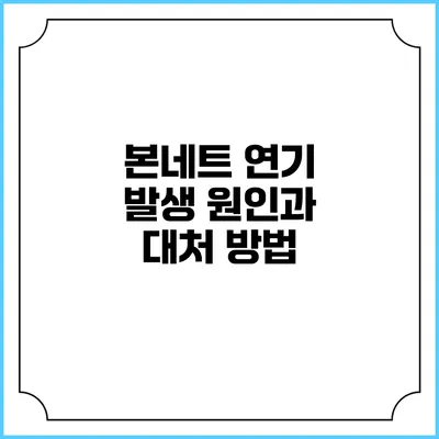 본네트 연기 발생 원인과 대처 방법