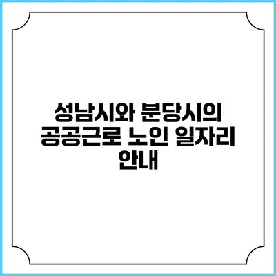 성남시와 분당시의 공공근로 노인 일자리 안내