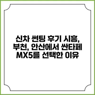 신차 썬팅 후기: 시흥, 부천, 안산에서 싼타페 MX5를 선택한 이유