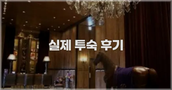 💬 실제 투숙 후기