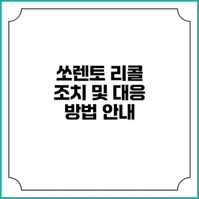쏘렌토 리콜 조치 및 대응 방법 안내