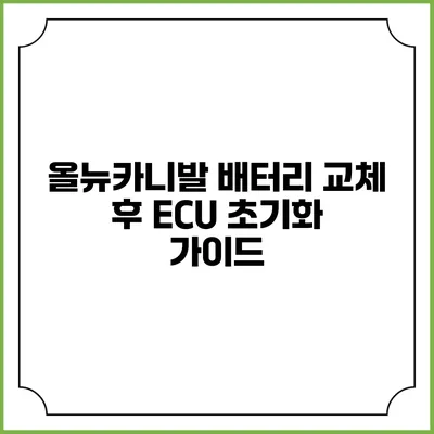 올뉴카니발 배터리 교체 후 ECU 초기화 가이드