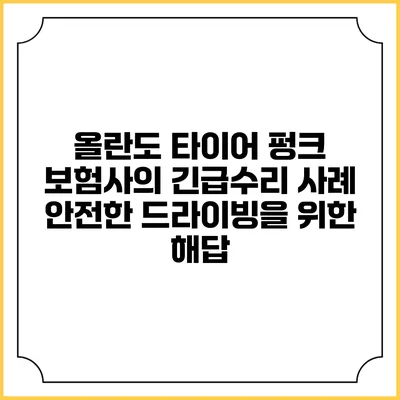 올란도 타이어 펑크 보험사의 긴급수리 사례: 안전한 드라이빙을 위한 해답