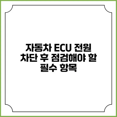 자동차 ECU 전원 차단 후 점검해야 할 필수 항목