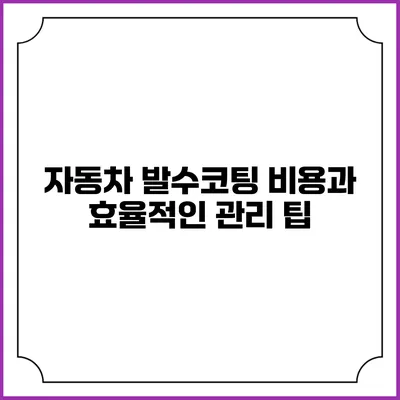 자동차 발수코팅 비용과 효율적인 관리 팁