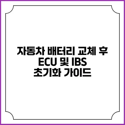 자동차 배터리 교체 후 ECU 및 IBS 초기화 가이드