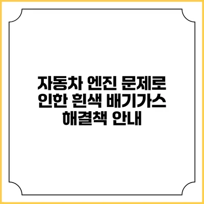 자동차 엔진 문제로 인한 흰색 배기가스 해결책 안내