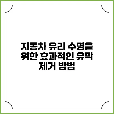 자동차 유리 수명을 위한 효과적인 유막 제거 방법