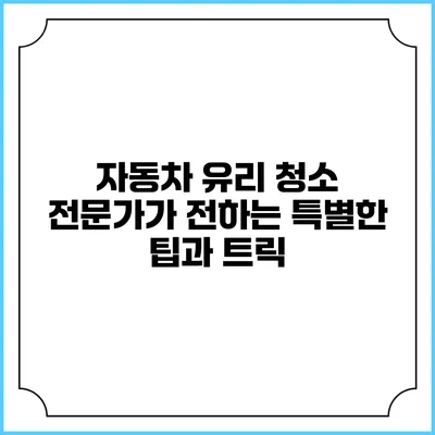 자동차 유리 청소 전문가가 전하는 특별한 팁과 트릭
