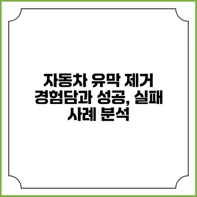 자동차 유막 제거: 경험담과 성공, 실패 사례 분석