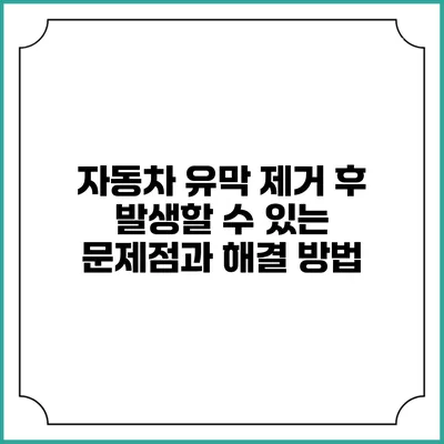 자동차 유막 제거 후 발생할 수 있는 문제점과 해결 방법