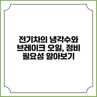 전기차의 냉각수와 브레이크 오일, 정비 필요성 알아보기
