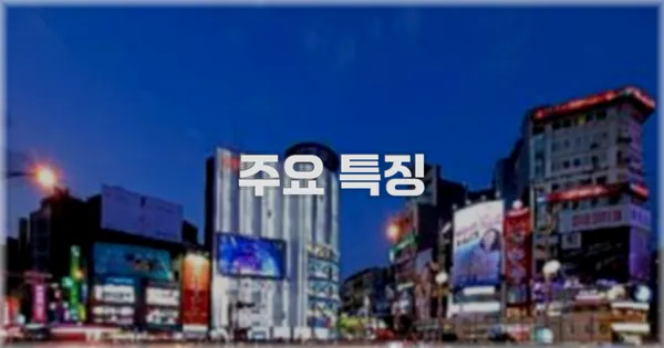✨ 주요 특징