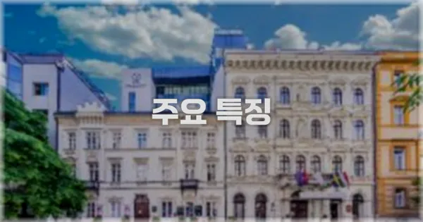 ✨ 주요 특징
