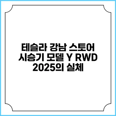 테슬라 강남 스토어 시승기 모델 Y RWD 2025의 실체
