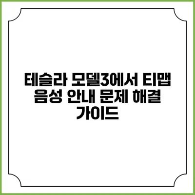 테슬라 모델3에서 티맵 음성 안내 문제 해결 가이드