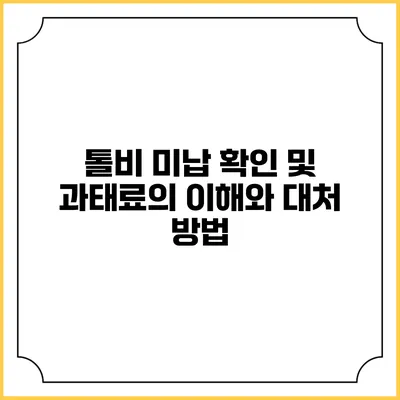 톨비 미납 확인 및 과태료의 이해와 대처 방법