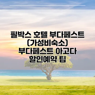 필박스 호텔 부다페스트 (가성비숙소) 부다페스트 아고다 할인예약 팁