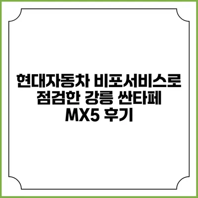 현대자동차 비포서비스로 점검한 강릉 싼타페 MX5 후기