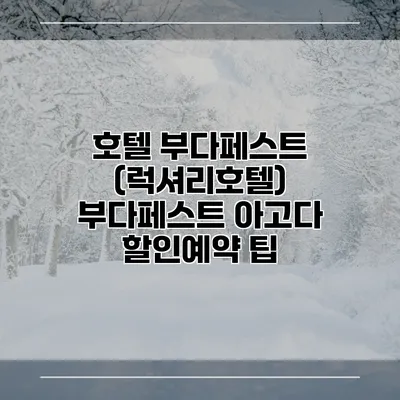 호텔 부다페스트 (럭셔리호텔) 부다페스트 아고다 할인예약 팁