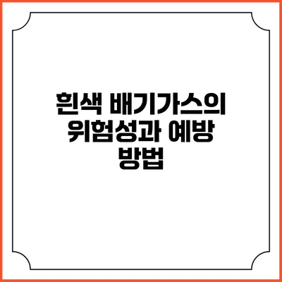 흰색 배기가스의 위험성과 예방 방법