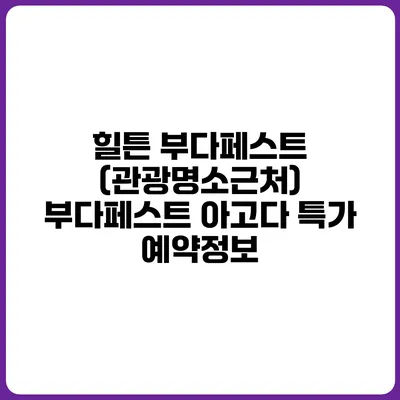 힐튼 부다페스트 (관광명소근처) 부다페스트 아고다 특가 예약정보
